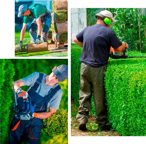 MHR Serviços | JARDINAGEM